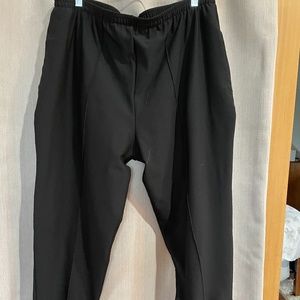 LL Bean Womens Cycling pants (XL) w/attached short